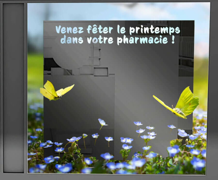 VITRINE PRINTEMPS arche + bleuets+papillons