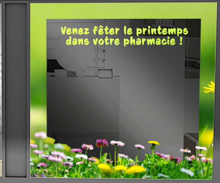 VITRINE PRINTEMPS Arche + paquerettes